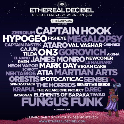 Ethereal Decibel Festival 3