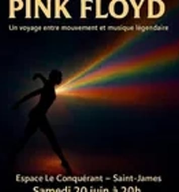 Spectacle Danse Pink Floyd (Contemporain et Modern' Jazz)
