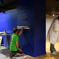 Levez les yeux ! Les coulisses d'un musée des Beaux-Arts