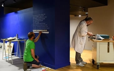 Levez les yeux ! Les coulisses d'un musée des Beaux-Arts