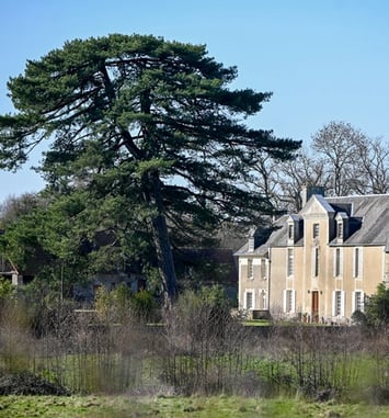 Visite guidée du château