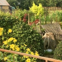 Visite libre du jardin