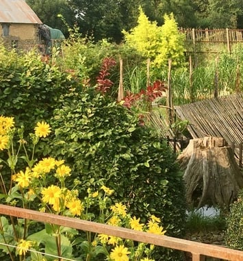 Visite libre du jardin