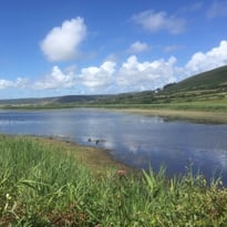 Visite guidée de la réserve naturelle nationale de la Mare de Vauville