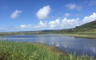 Visite guidée de la réserve naturelle nationale de la Mare de Vauville
