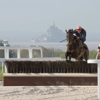 Visite guidée du complexe équin de la baie du Mont-Saint-Michel