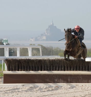 Visite guidée du complexe équin de la baie du Mont-Saint-Michel