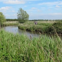 Circuit : randonnée dans les marais des Ponts d'Ouve