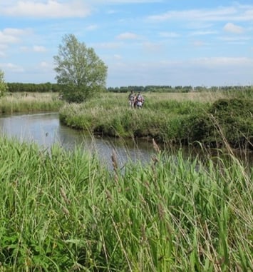Circuit : randonnée dans les marais des Ponts d'Ouve