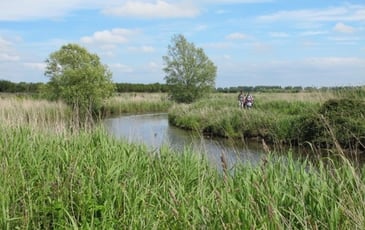 Circuit : randonnée dans les marais des Ponts d'Ouve