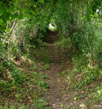 Circuit : à la croisée des chemins, quand les vivants se racontent