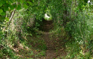 Circuit : à la croisée des chemins, quand les vivants se racontent
