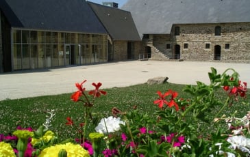Visite guidée des réserves du musée