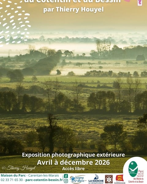 Arbres et bocage du Cotentin et du Bessin