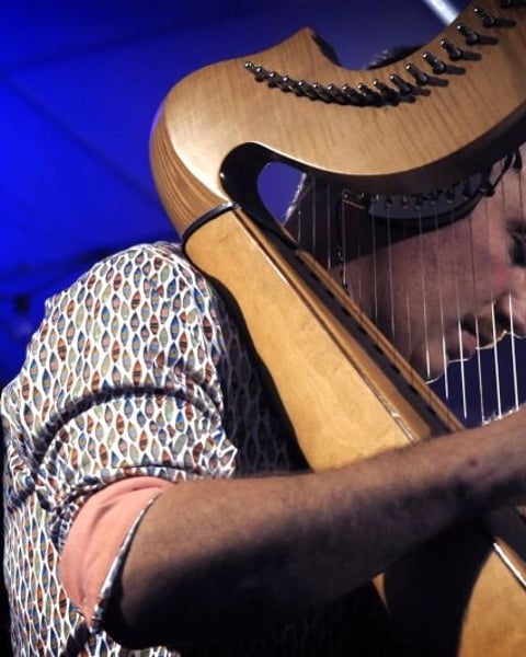 Les Rencontres du Numérique : Concert - Trip Harp