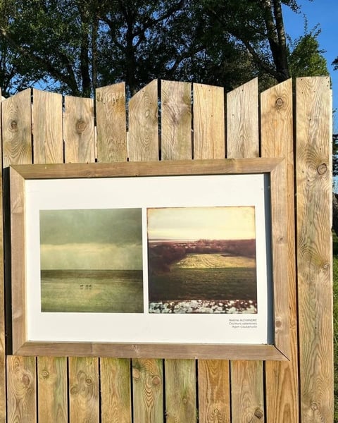 Photographies grands formats, Nadine Alexandre