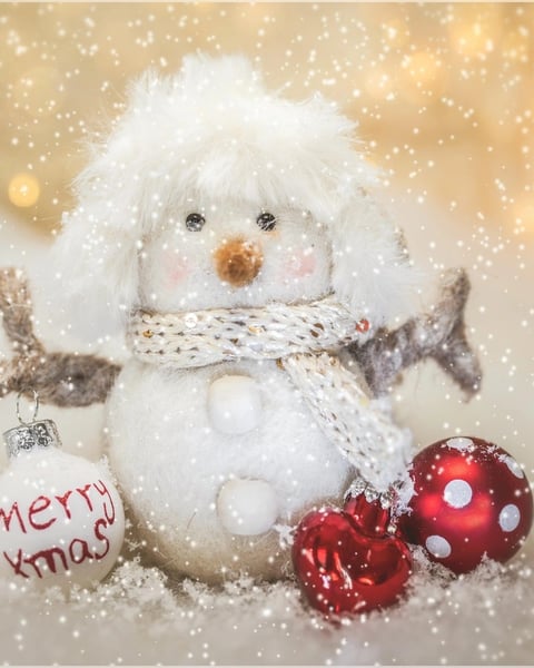 Lectures musicales "La souris qui rêvait de rencontrer le Père Noël"