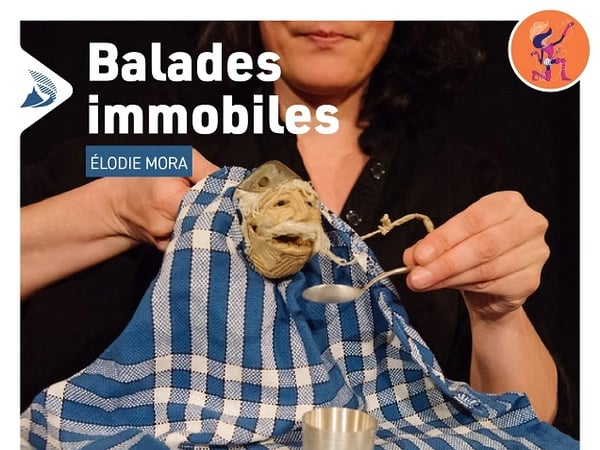 Balades immobiles