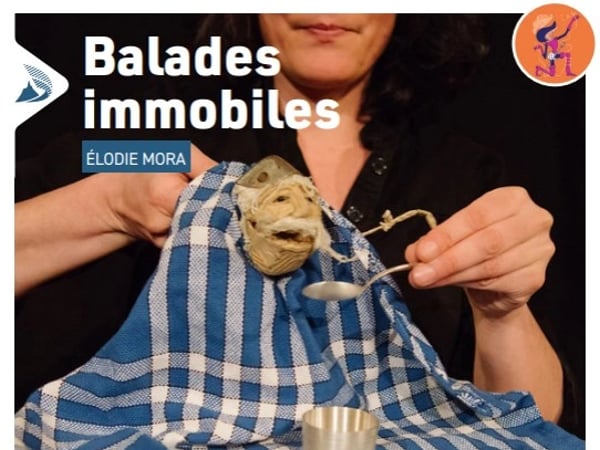 Histoire(s) d'en découdre : Balades immobiles, par Elodie Mora