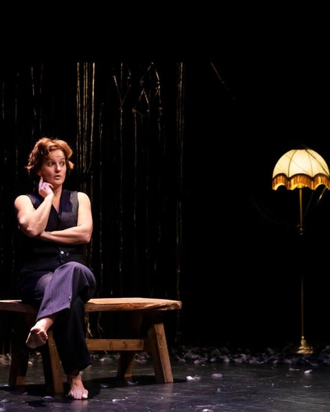 Villes en Scène > La Vie Rêvée - Compagnie Innisfree